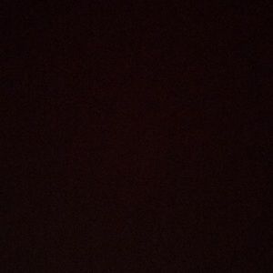 Meet your Posher, Sadie